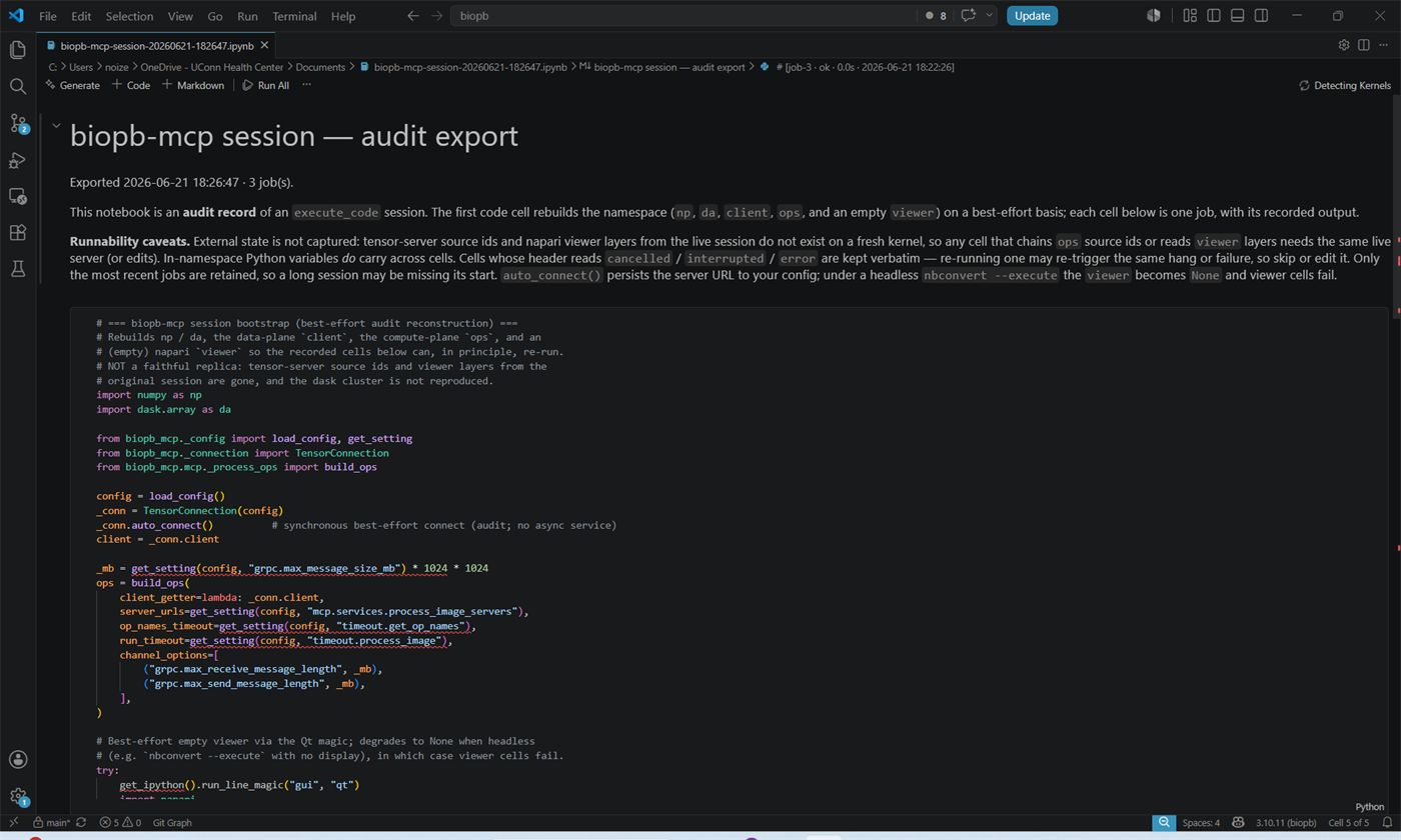 The exported audit notebook opened in Jupyter