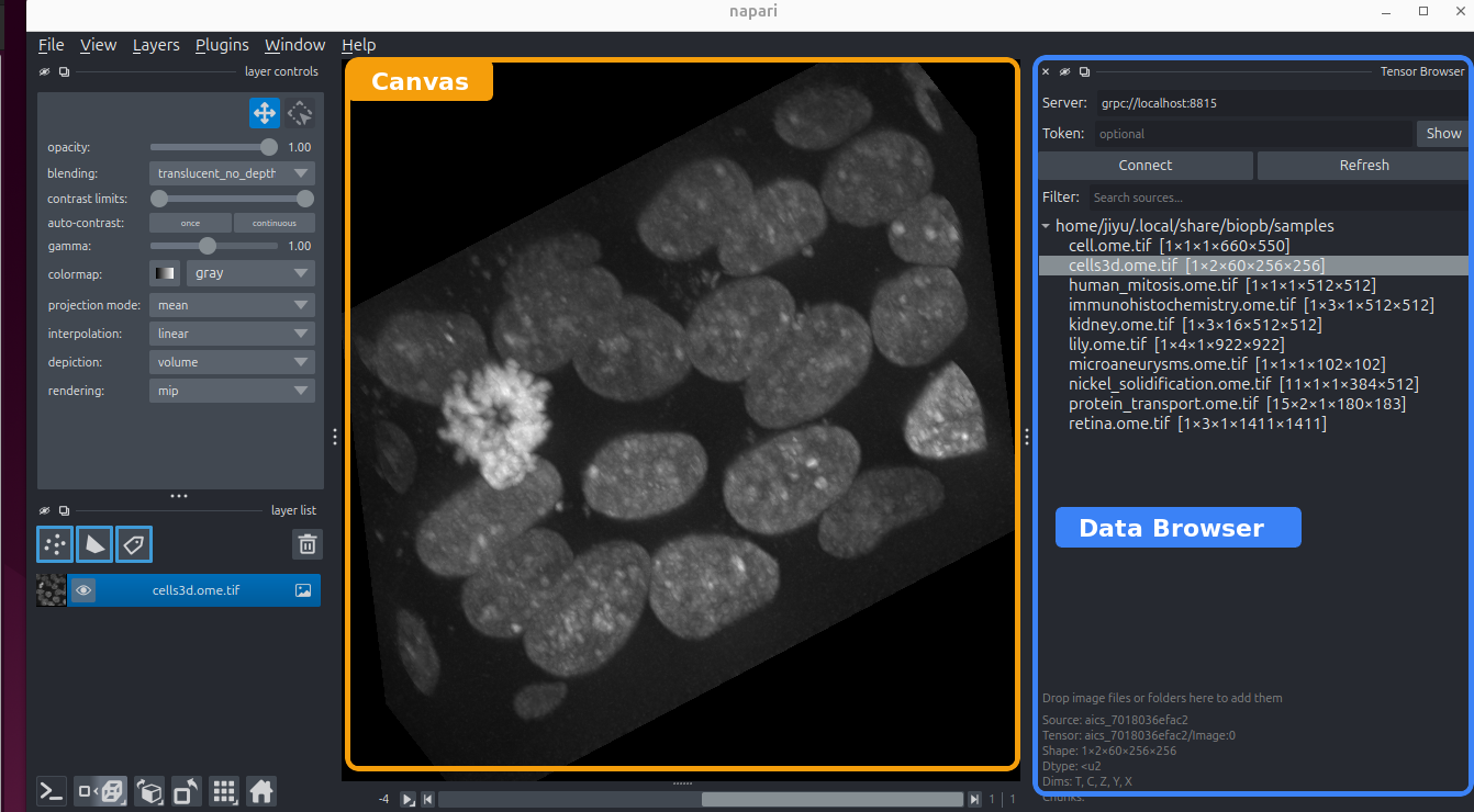 The biopb napari window: the central canvas with the Data Browser panel on the right